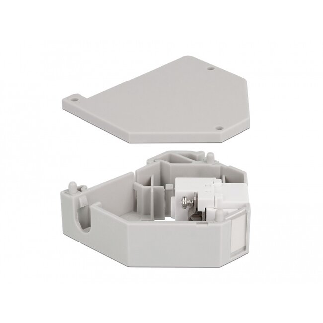Delock DIN rail Adapter with Keystone IEC female to terminal block