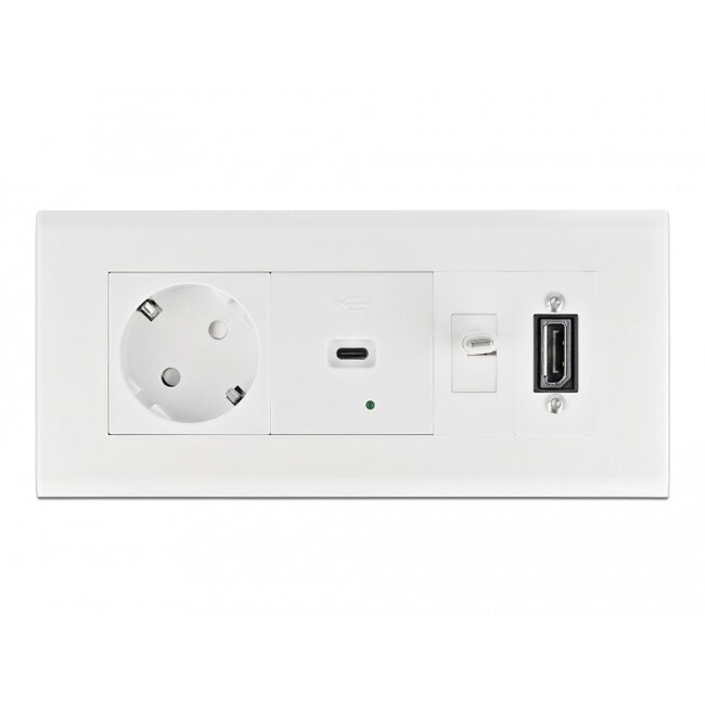 Delock Easy 45 Module Holder for installation trunking 175 x 80 mm