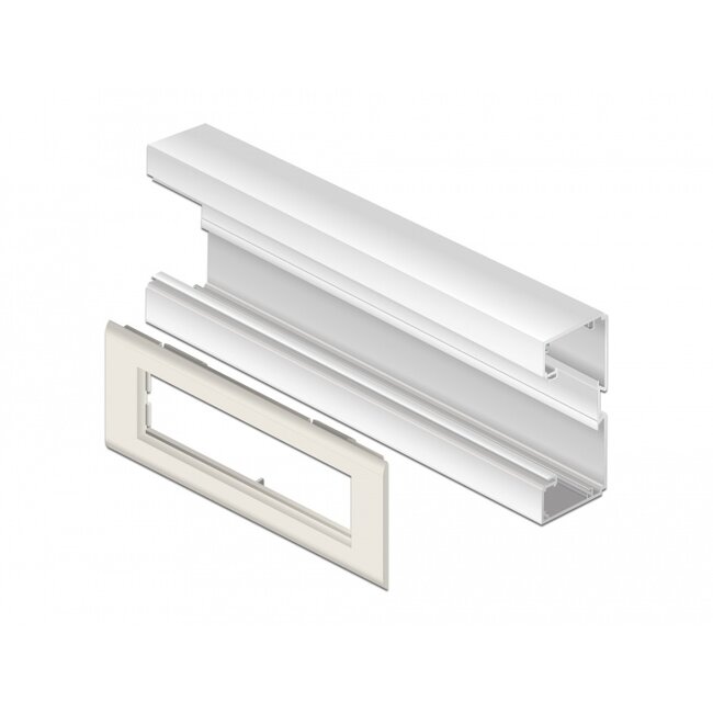 Delock Easy 45 Module Holder for installation trunking 175 x 80 mm