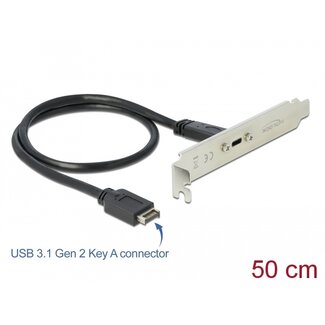 DeLOCK Delock USB 3.1 Gen 2 Slot Bracket with 1 x USB Type-C™ Port