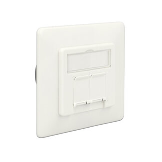 DeLOCK Delock Modular Wall Outlet flush mount 2 Port Cat.6A LSA