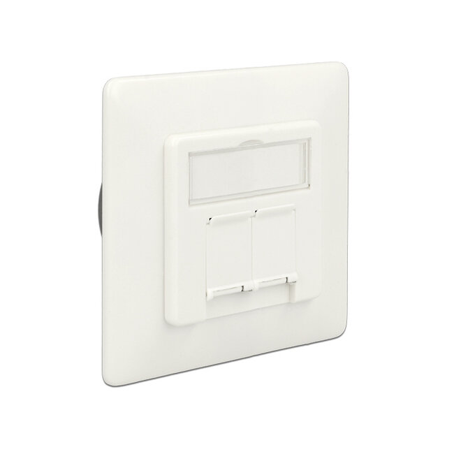 Delock Modular Wall Outlet flush mount 2 Port Cat.6A LSA