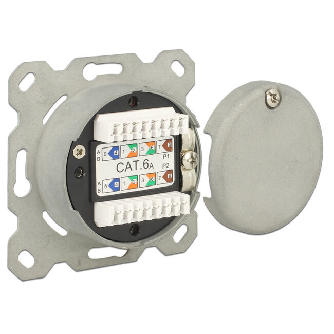 Delock Modular Wall Outlet flush mount 2 Port Cat.6A LSA