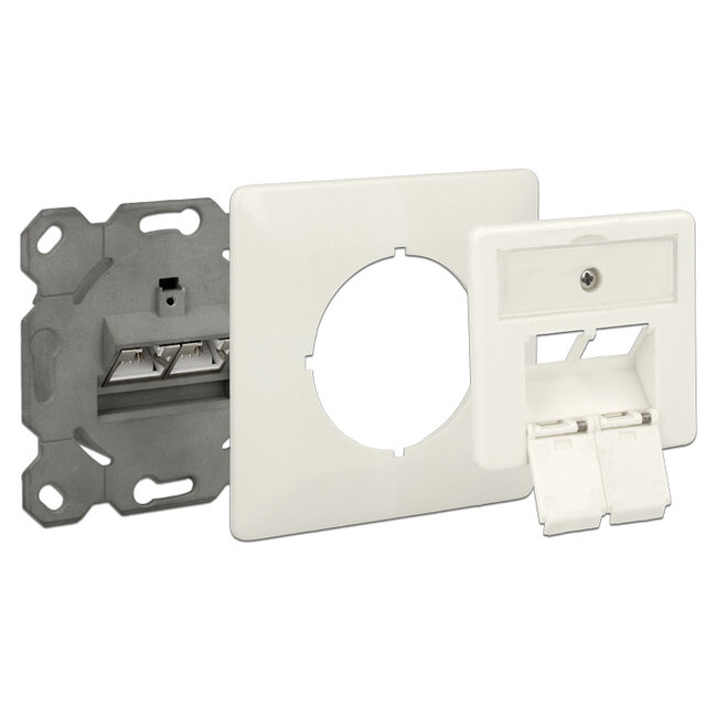 Delock Modular Wall Outlet flush mount 2 Port Cat.6A LSA