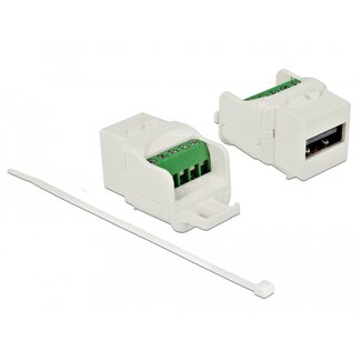 DeLOCK Delock Keystone module USB 2.0 A female to terminal block white