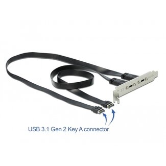 DeLOCK Delock USB 3.1 Gen 2 Slot Bracket with 2 x USB Type-C™ Ports