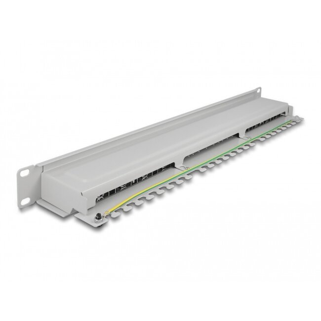 Delock 19″ Patch Panel 16 port Cat.6A 1U grey
