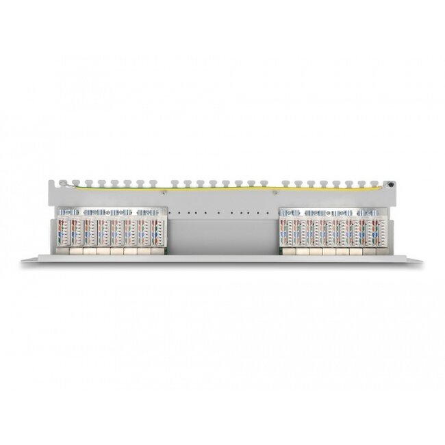 Delock 19″ Patch Panel 16 port Cat.6A 1U grey