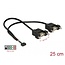 Delock Cable USB 2.0 pin header female 2.00 mm 10 pin > 2 x USB 2.0 Type-A female panel-mount 25 cm