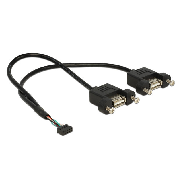 Delock Cable USB 2.0 pin header female 2.00 mm 10 pin > 2 x USB 2.0 Type-A female panel-mount 25 cm