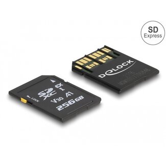 DeLOCK Delock SD Express memory card 256 GB