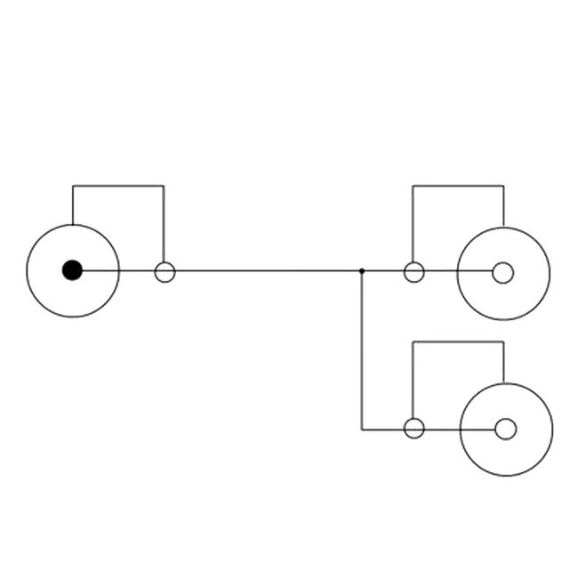 Delock Cable RCA 2 x female > RCA 1 x male 0,2 m
