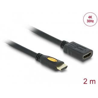 DeLOCK Delock Cable High Speed HDMI with Ethernet – HDMI A male > HDMI A female 2 m