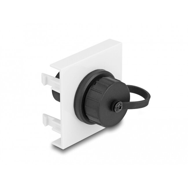 Delock Easy 45 Module SuperSpeed USB 5 Gbps (USB 3.2 Gen 1) USB Type-A female, 45 x 45 mm