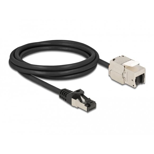 Delock Cable RJ45 plug to Keystone Module RJ45 jack Cat.6A 2 m black