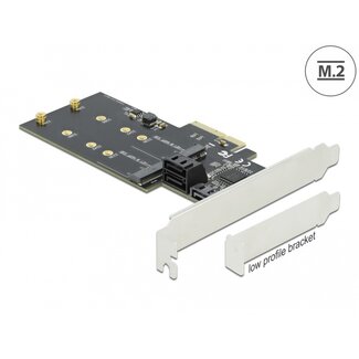 DeLOCK Delock 3 port SATA and 2 slot M.2 Key B PCI Express x4 Card - Low Profile Form Factor