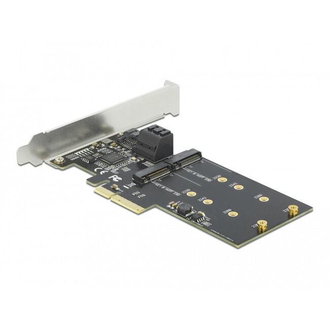 Delock 3 port SATA and 2 slot M.2 Key B PCI Express x4 Card - Low Profile Form Factor