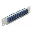 Delock 10″ Fiber Optic Patch Panel 12 Port SC Duplex blue 1U grey