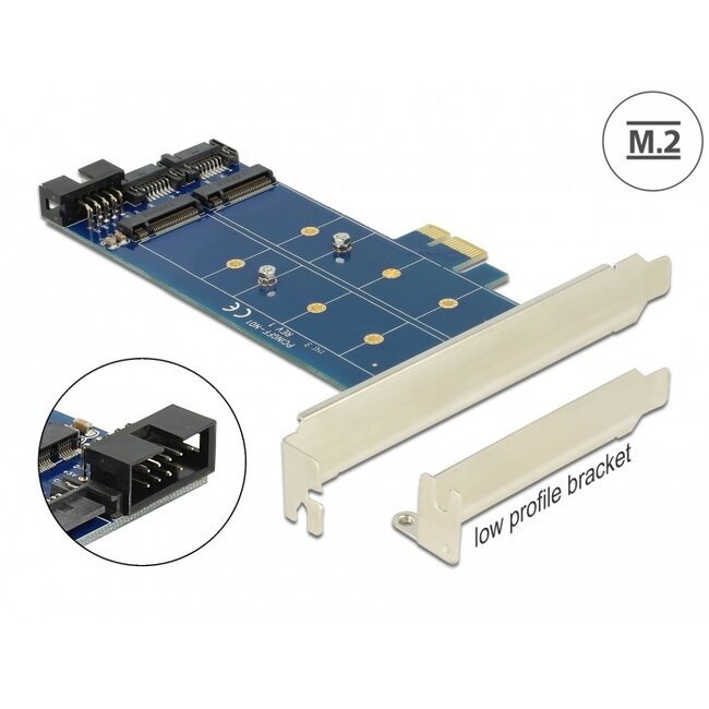 Delock PCI Express Card > 2 x internal M.2 NGFF