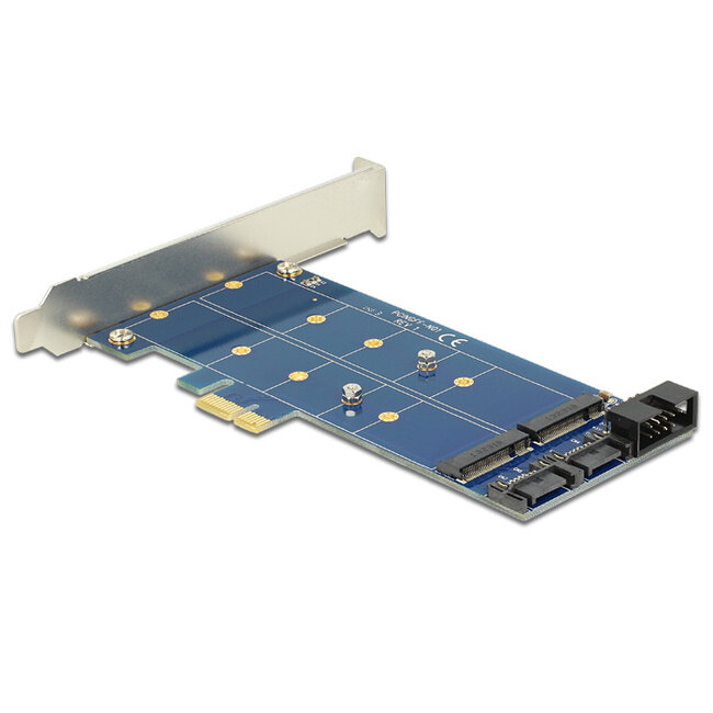 Delock PCI Express Card > 2 x internal M.2 NGFF