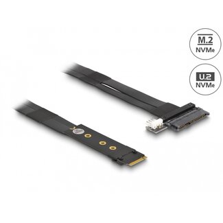 DeLOCK Delock M.2 Key M to U.2 SFF-8639 NVMe Adapter with 20 cm cable
