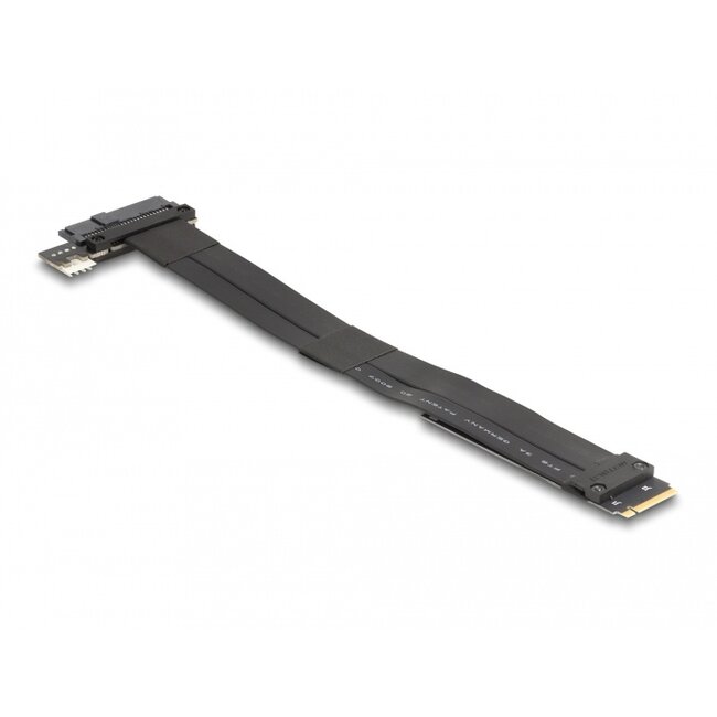 Delock M.2 Key M to U.2 SFF-8639 NVMe Adapter with 20 cm cable
