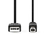 USB-Kabel | USB 2.0 | USB-A Male | USB-B Male | 480 Mbps | Vernikkeld | 2.00 m | Rond | PVC | Zwart | Doos