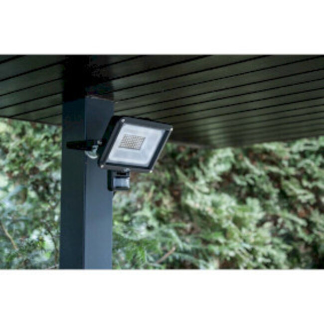 LED Spotlight JARO 4060 P (LED Floodlight voor wandmontage voor buiten IP65, 30W, 3450lm, 6500K, met bewegingsmelder)