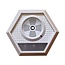 Ultrasone Hond- / Kat- / Marterverjager 5 - 110 kHz