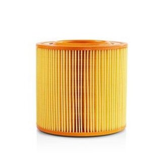 Nedis Stofzuiger Cartridge-Filter | Vervanging voor: Allaway | A/C-Series | Motorfilter