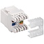 Goobay Keystone Module RJ45 CAT 6, UTP, 250 MHz