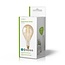 LED-Filamentlamp E27 | A160 | 5 W | 280 lm | 2000 K | Dimbaar | Warm Wit | Retrostijl | 1 Stuks