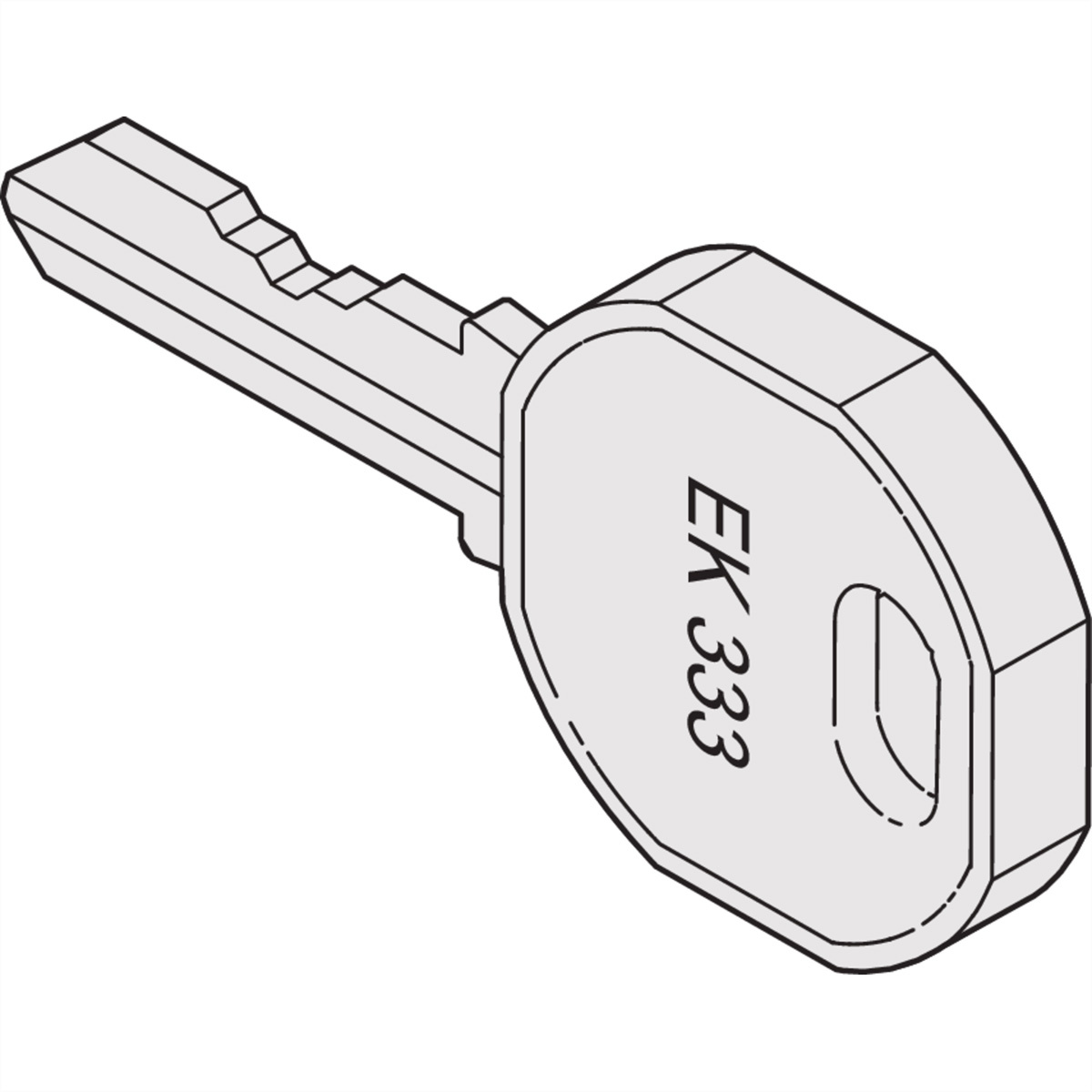 60220003 (VE2) (15 Stück) - Cylinder key for enclosure 60220-003 (quantity: 2)