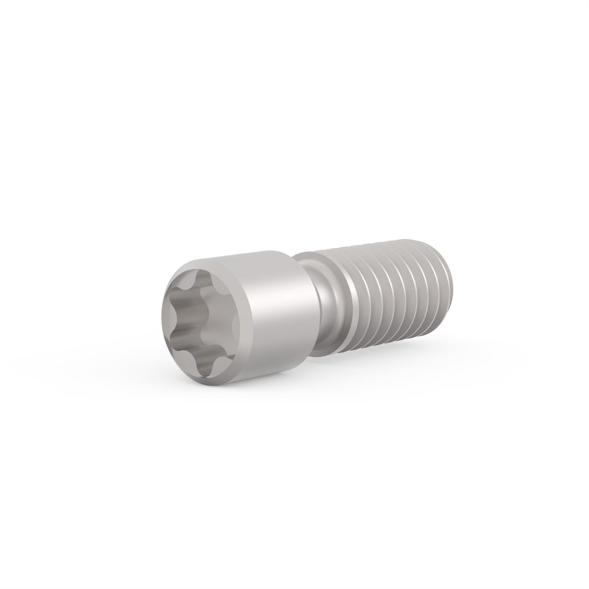 Schroff 21102980 19 inch Montagemateriaal