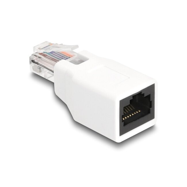 Delock RJ50 Adapter male to female white