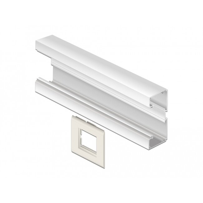 Delock Easy 45 Module Holder for installation trunking 85 x 80 mm