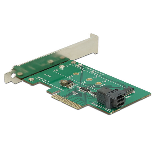 Delock PCI Express x4 Card > 1 x internal NVMe M.2 PCIe / 1 x internal SFF-8643 NVMe – Low Profile Form Factor