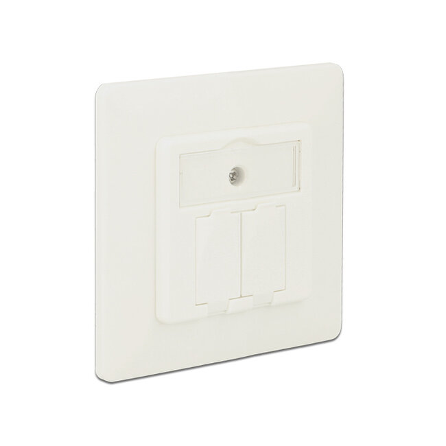 Delock Keystone Wall Outlet 2 Port compact