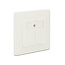 Delock Keystone Wall Outlet 2 Port compact