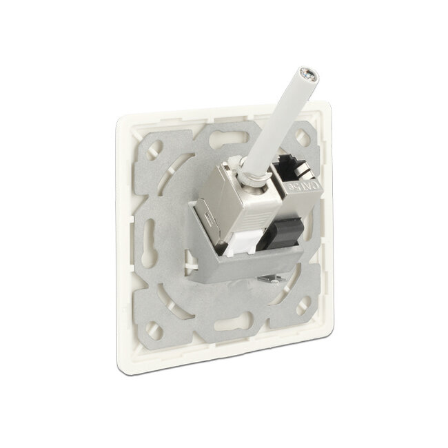 Delock Keystone Wall Outlet 2 Port compact