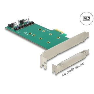 DeLOCK Delock PCI Express x1 Card > 2 x internal M.2 Key B 110 mm - Low Profile Form Factor