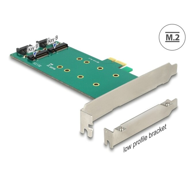 Delock PCI Express x1 Card > 2 x internal M.2 Key B 110 mm - Low Profile Form Factor
