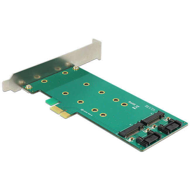 Delock PCI Express x1 Card > 2 x internal M.2 Key B 110 mm - Low Profile Form Factor