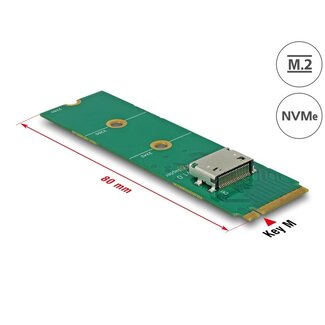 DeLOCK Delock M.2 Key M to 1 x OCuLink SFF-8612 Converter