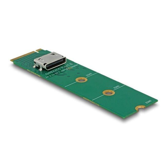 Delock M.2 Key M to 1 x OCuLink SFF-8612 Converter