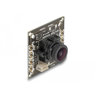 DeLOCK Delock Analogue CVBS Camera Module with HDR 2.1 mega pixel 130° V8 fix focus
