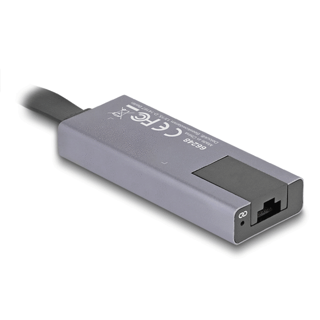 Delock USB Type-C™ Adapter to 2.5 Gigabit LAN slim