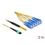 Delock Optical Fiber Cable MPO female to 12 x SC Simplex male, Single-mode, 9/125 µm, 2 m