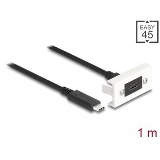 DeLOCK Delock Easy 45 Module SuperSpeed USB 10 Gbps (USB 3.2 Gen 2) USB Type-C™ female to USB Type-C™ male with pigtail, 22,5 x 45 mm