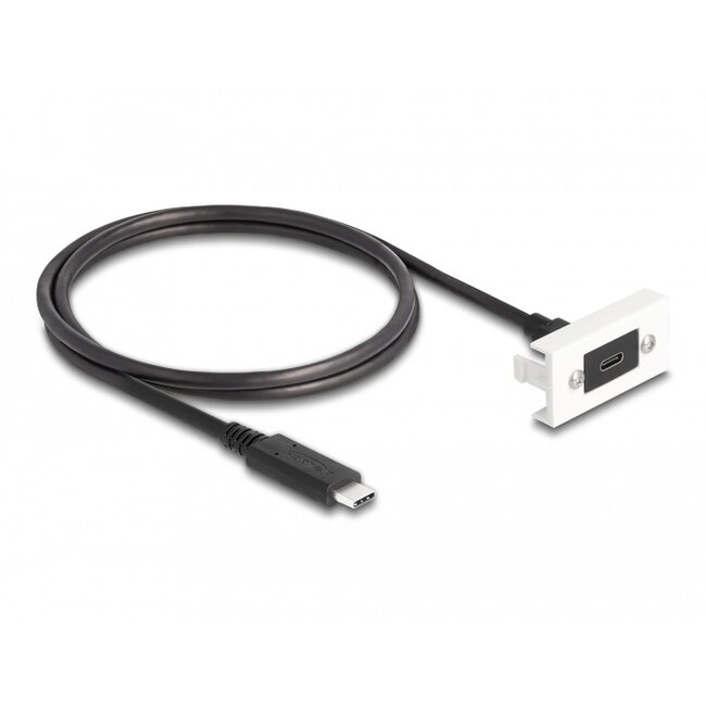 Delock Easy 45 Module SuperSpeed USB 10 Gbps (USB 3.2 Gen 2) USB Type-C™ female to USB Type-C™ male with pigtail, 22,5 x 45 mm